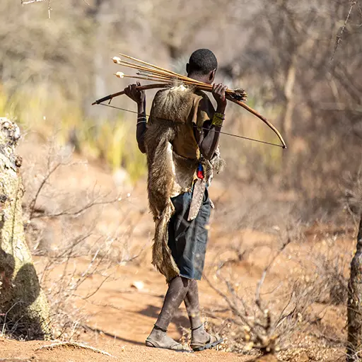 Hadzabe-stamlid met een boog in Tanzania