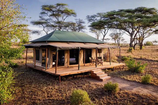 Baobab Central Serengeti