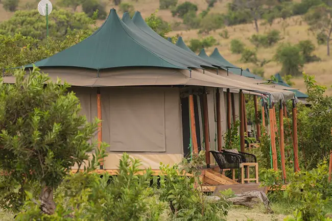 Baobab Migration Luxury Camp Northern Serengeti