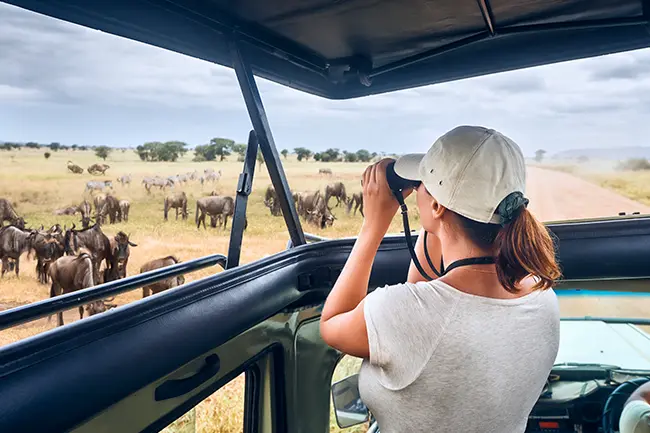 Game Drive Serengeti