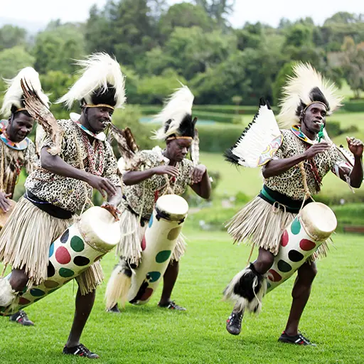 Nanyuki stam Kenia