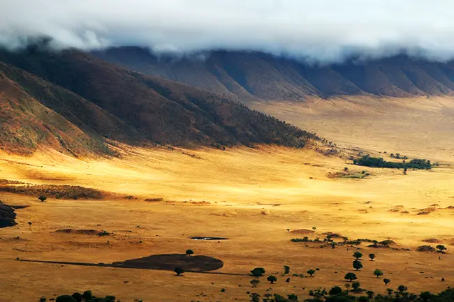 Ngorongoro kraterlandschap