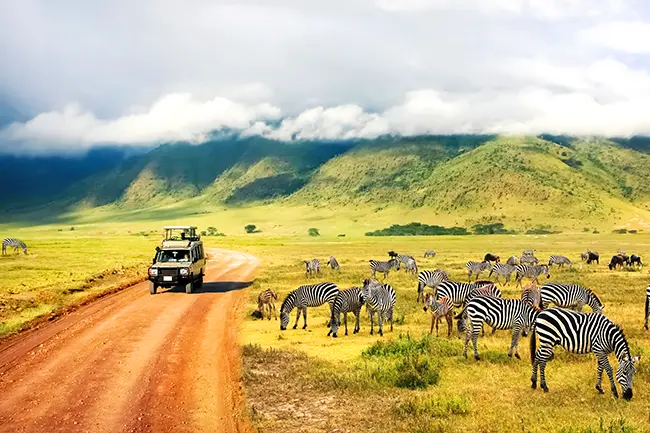 Ngorongoro Krater Safari