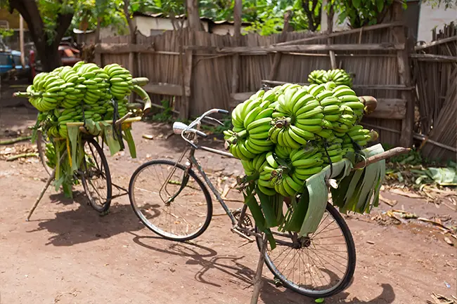 Tanzania Village - Mto Wa Mbu