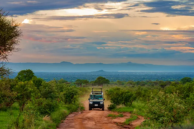 Tarangire Nationaal Park zonsondergang