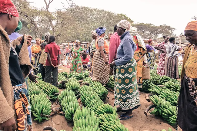 Authentiek Tanzaniaans dorpsleven