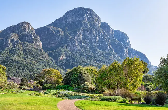 Botanische tuinen Kirstenbosch berg