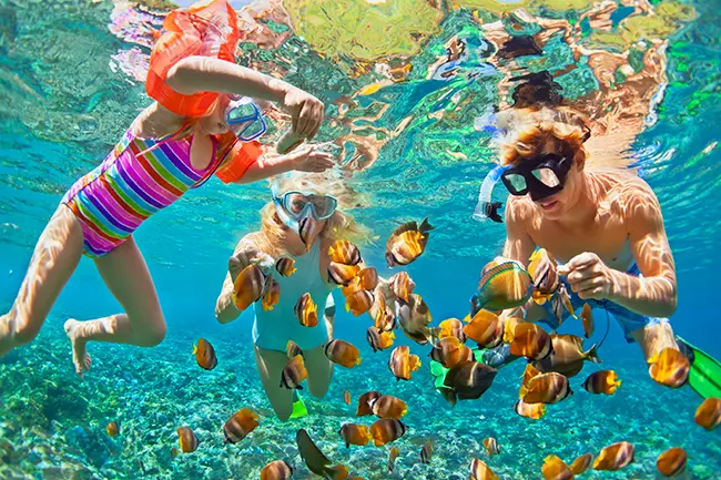 Diani Strand Kenia snorkelen