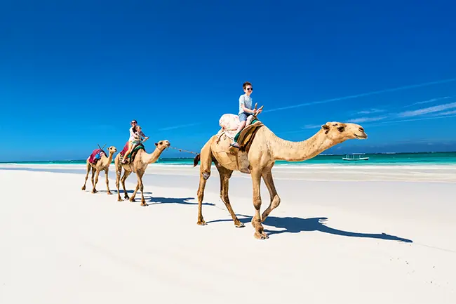 Diani Stranden Kenia kameel rijden