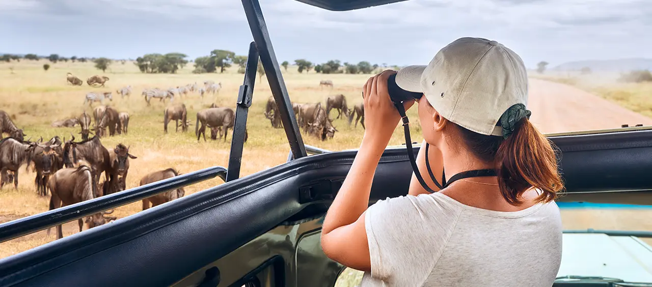 Een Gids Voor de Prijzen van Safaris in Tanzania