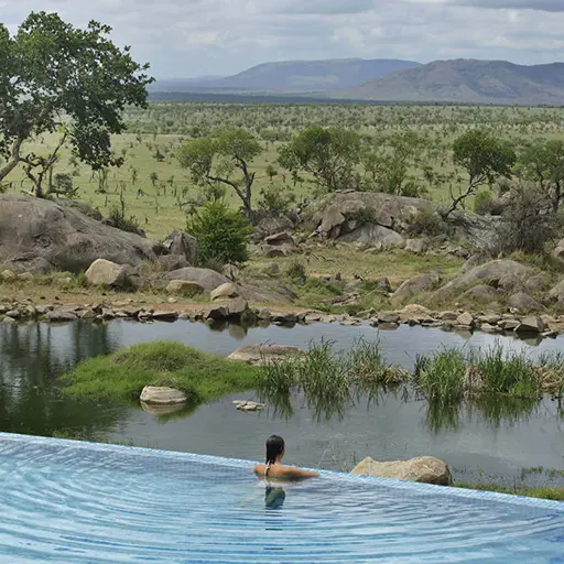 FourSeasons Serengeti Pool