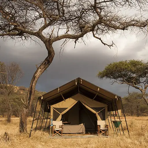 Kati Kati Mara River Tent Outdoors