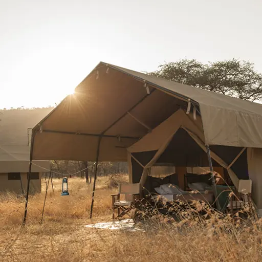 KatiKati Tented Sun