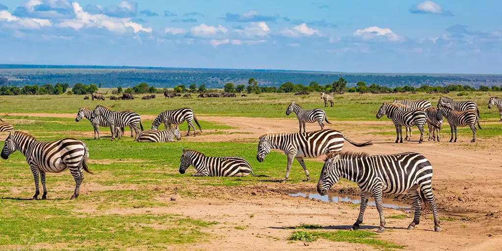 Kenia - Negen Dagen Bush Safari met Gezin