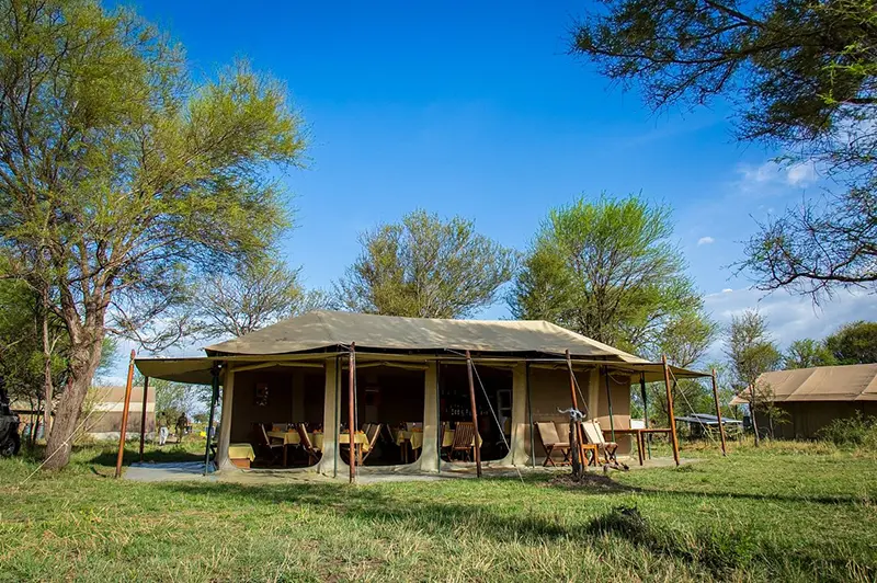 Kenzan Kisura Camp Tent