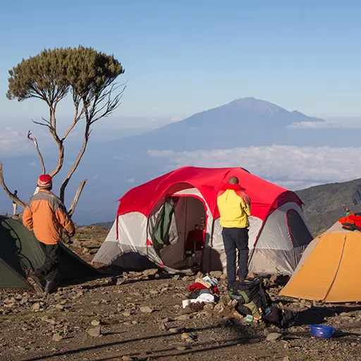 Kilimanjaro kampeert boven wolken