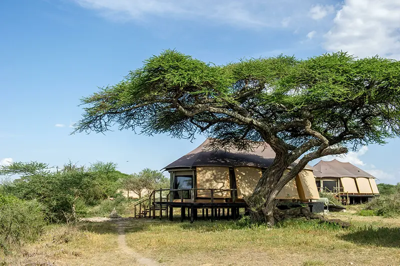 Lake Masek Tented Camp