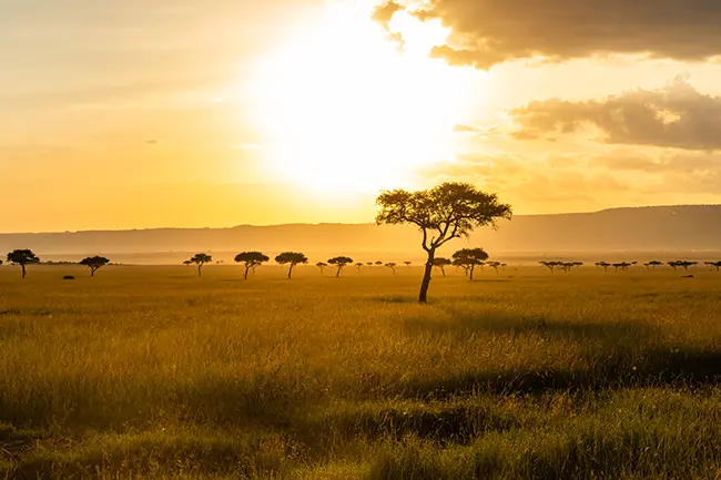 Maasai Mara zonsondergang