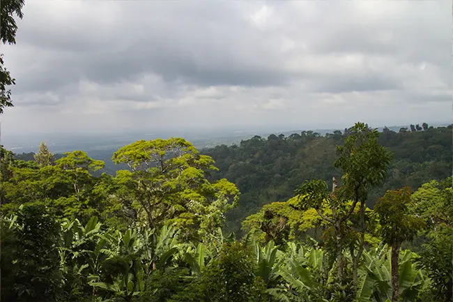 Materuni Waterval Arusha View