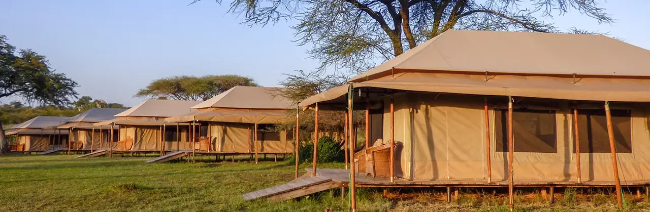 Mbugani Migration Camp