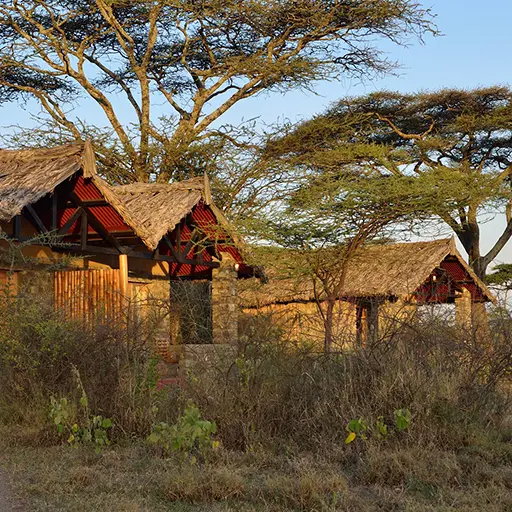 Ndutu Safari Lodge Cabins