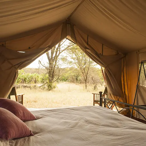 Ndutu Under Canvas