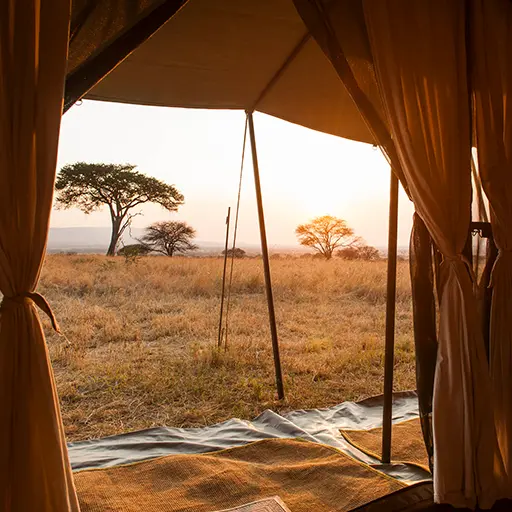 Ndutu Under Canvas sun