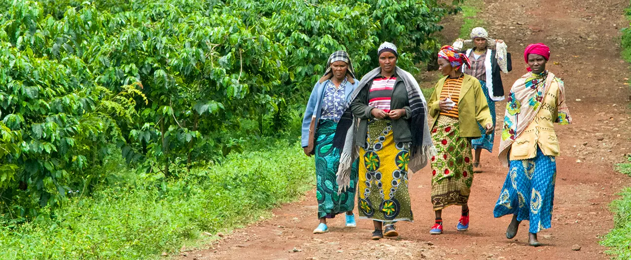 Tanzania Lokale vrouwen met kleurrijke kledij