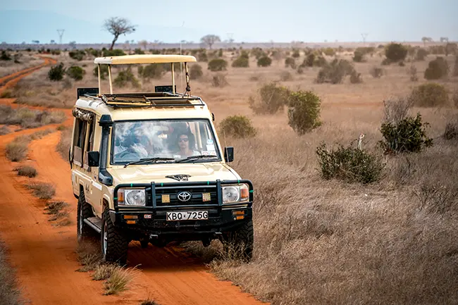 Tsavo Oost Game Drive