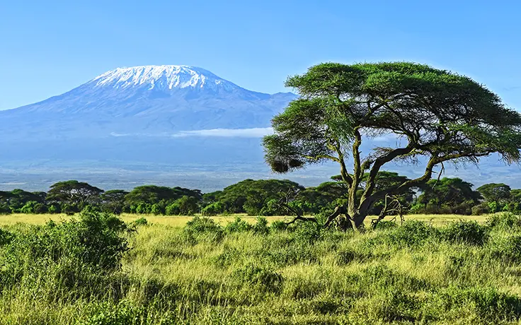 Van Bush naar Beach Gezinsavontuur - Amboseli