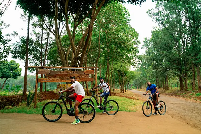 Weru Weru River Lodge - Moshi - Fiets