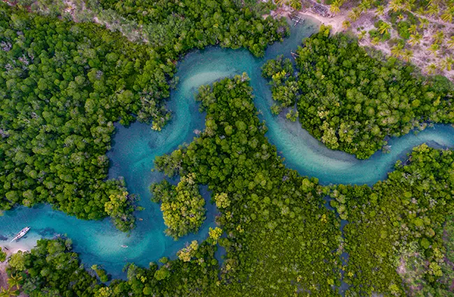 Zanzibar bos rivier luchtfoto