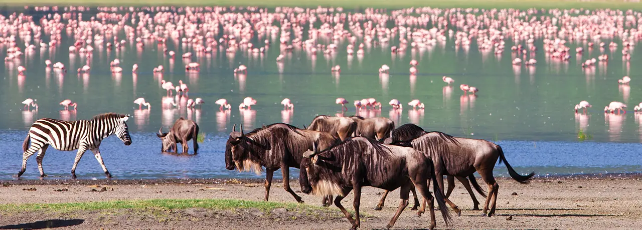 tanzania-beste-safari-ngorongoro-krater