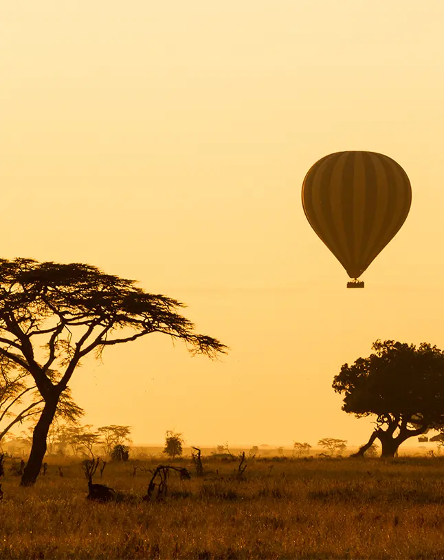 Serengeti heteluchtballon