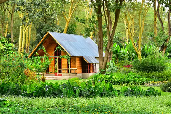 Tumbili Lodge Arusha Cabin