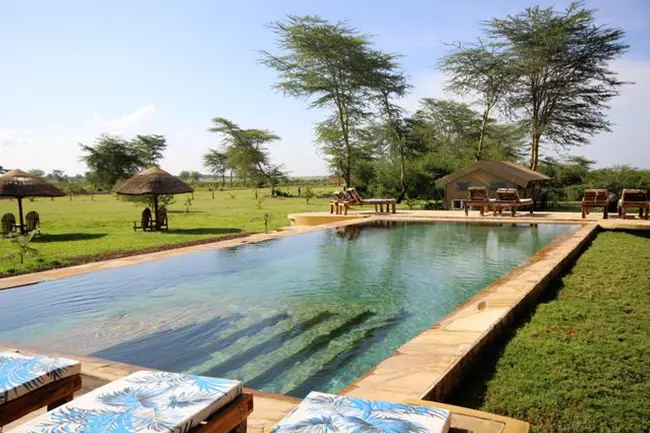 Africa Safari Lake Manyara Pool