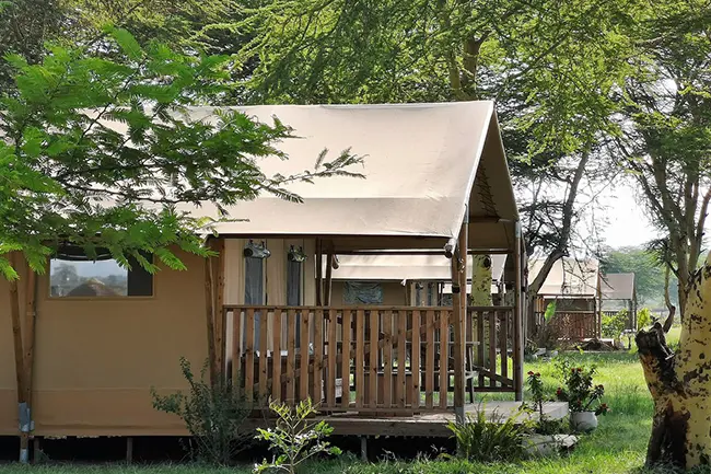 Africa Safari Lake Manyara Tents