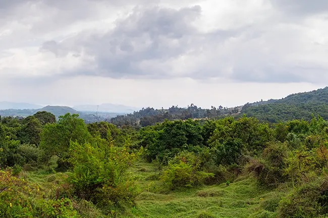 Mgahinga National Park View