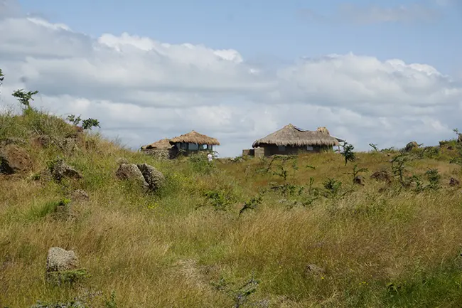 Osiligilai Maasai Lodge