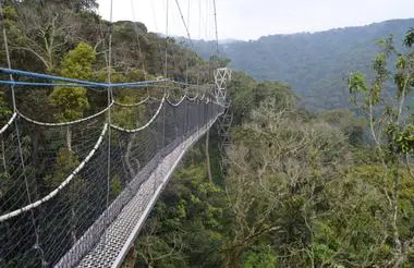 Rwanda Nyungwe Forest National Park Canopy Walk